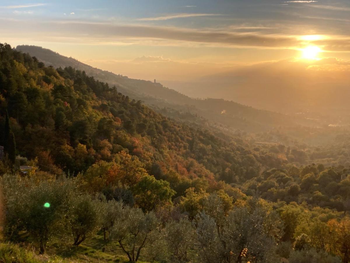 Cortona'S Rooftop Nest المظهر الخارجي الصورة